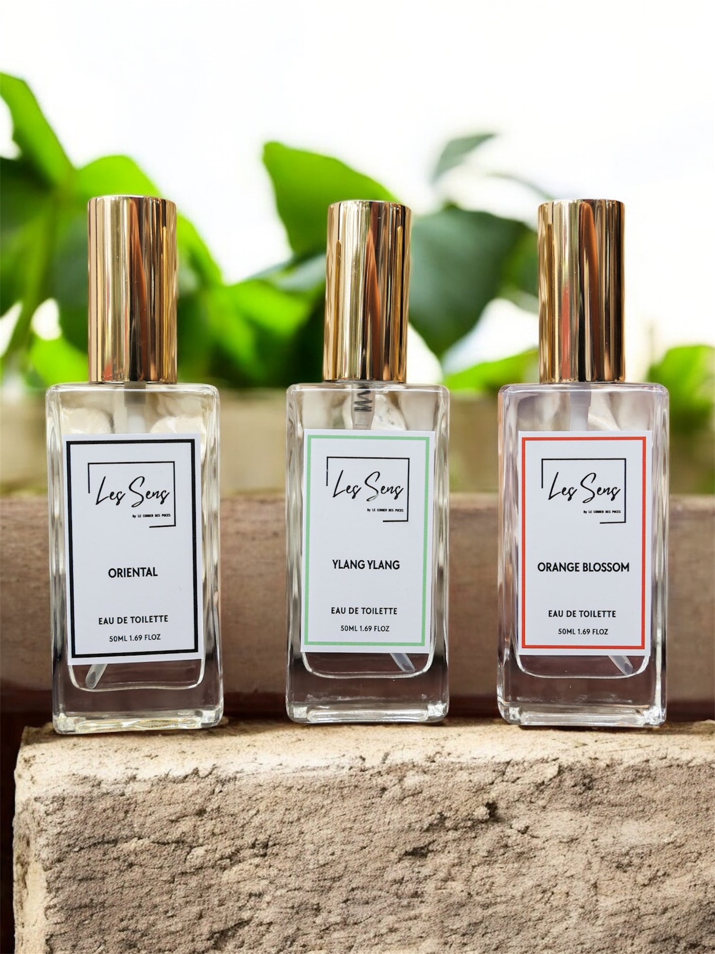 YLANG YLANG - Eau de Toilette